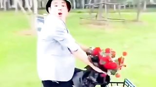 Funny video 2024