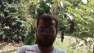 Healthy Bitroat jous