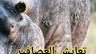 مقتطفات حول العالم ١
