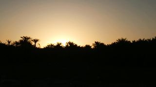 Sun rises