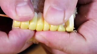 Food ninja trick
