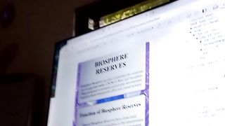 HTML practice