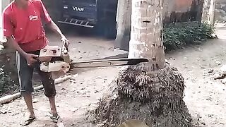 amazing cutting skills | अद्भुत काटने का कौशल | By Vyas Ji MauryaFacebook