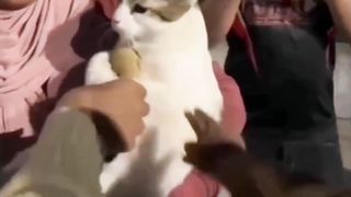 Don't touch my toy ????????????????????????????