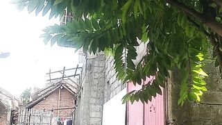 Green house
