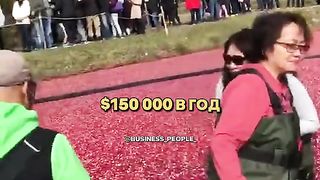 БРАНЕ НА КЛЮКВА