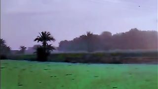 Beautiful seen