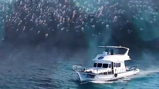 Zombie Tsunami