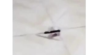 مقاطع مضحكه