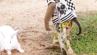 Respect Video  #2024 #funny #shortsmusic #usa #eu