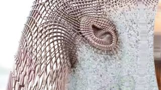 Respect Video  #2024 #funny