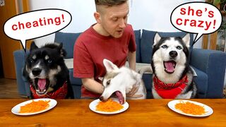 Dogs are always friendly to everyone| see how dog feeds their freind