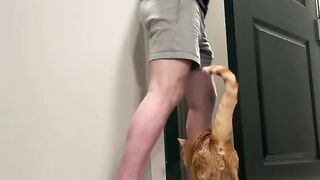 Cat life