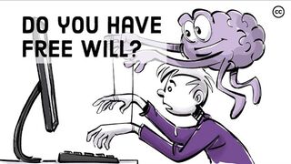 Tell us about free well