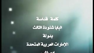 ope Shinoda meeting in the UAE is a sermon on peace and brotherhood لقاء البابا شنودة في الامارات