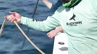 Shark Eats GoPro or Fish. #Shorts