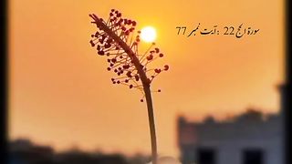 SubhanAllah