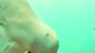 سمكه عجيبه