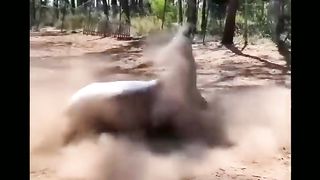 Funny and Cute Horses That Will Change Your Mood For Good