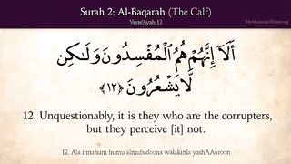Sarah Al baqarah ayah 12-13