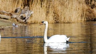 Beautiful Nature