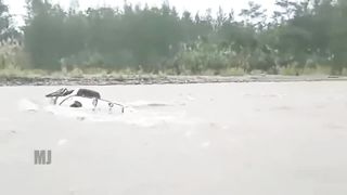 Here's How A 4x4 Car Fails To Cross The River - Toyota Hilux Mitsubish Triton 4x4 Passes Over The River