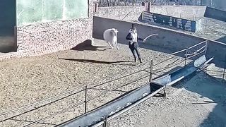 Funny video just fun