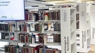 "Library Love: Exploring Friendship through Books and Beyond!"