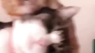 Funniest Cats and Dogs ???????? #Cute_cats #Cute_dogs