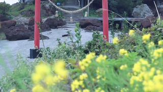 Japan vibes