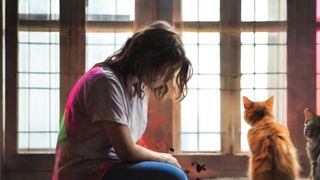 Feline Affection: Embracing the Love of Cats