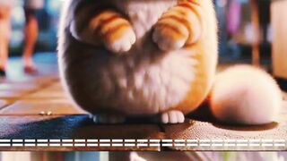 Cute cat new version
