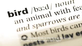 "Discovering the fastest birds in the world: an exciting journey in the world of fast flight"