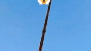 Diversies de parques que deram muito errodo