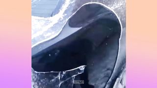 Relaxing clips that you will never get tired of watching, “Psychological Relaxation”