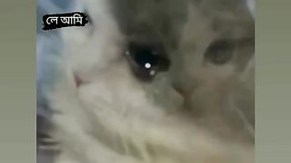 ????????????