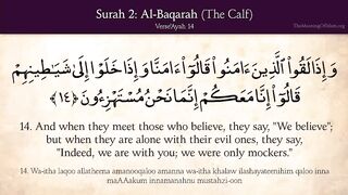 Surah Al baqarah ayah 14-15