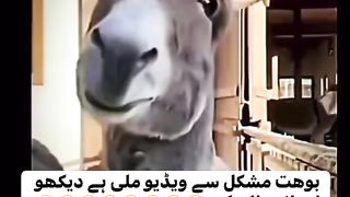 Very hard to find this video, watch and enjoy