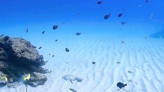 The Beauty of Nature