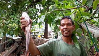 Fishing fish predator amazing