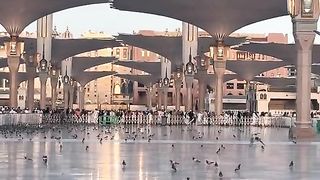 مدینہ منورہ کے خوبصورت منظر/سبحان اللّٰہ