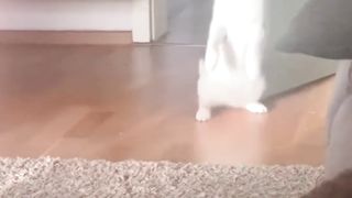 New Funny video 2024