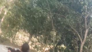 বড়ই চুরির ভিডিও