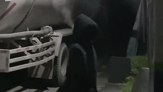 হালকা পিনিক????
