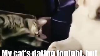 Yes, scratch him with your claws ????