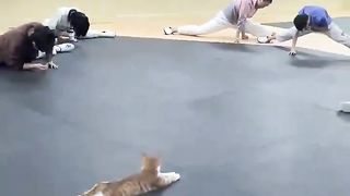 Yoga time.. ????