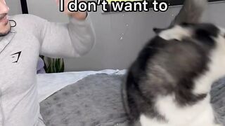 Funniest dog