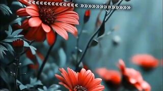 Hazrat Ali quotes in Urdu