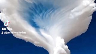 بسم الله الرحمان الرحيم