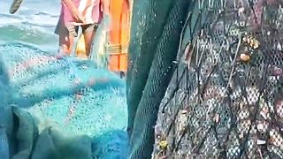 Trawl Fishing in Trawl net boat-#shorts